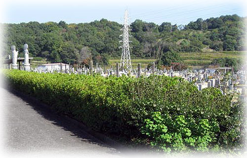 堺市営鉢ヶ峯霊園内墓地　霊園寺院画像　霊園・墓石の須藤石材 