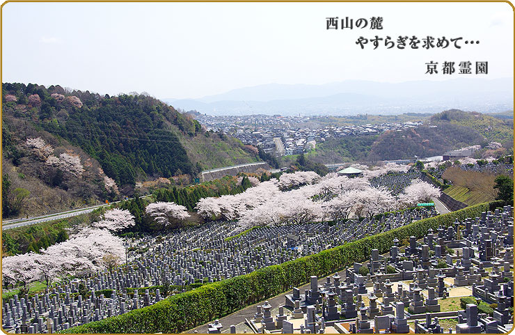 念佛寺 墓地風景