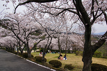 児童公園