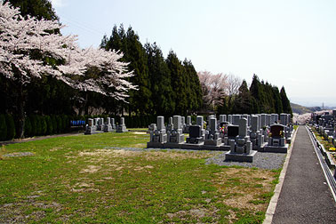 さくら地区 1 聖地 墓地全景