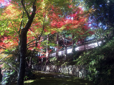 寺院側参道