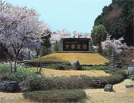 京都霊園春の景色